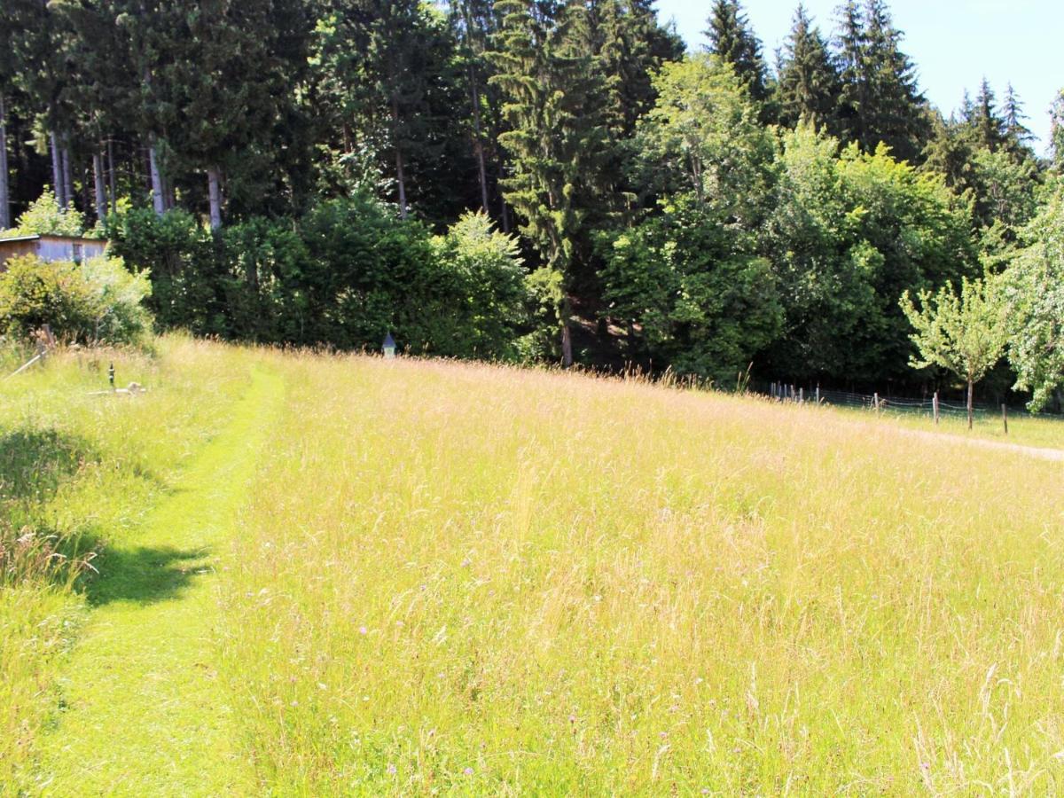 Apartment In Koettmannsdorf Near Bathing Lake Wurdach 外观 照片