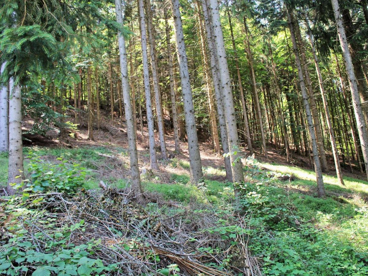 Apartment In Koettmannsdorf Near Bathing Lake Wurdach 外观 照片